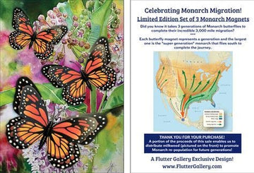 FAIRE: flutter gallery magnet Monarch Butterfly 3D Magnet Set